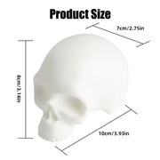 DQFART 3D Skull Tattoo Practice Head Model for Tattoo Practice